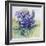 The Mauve Primrose 2000-Joan Thewsey-Framed Giclee Print