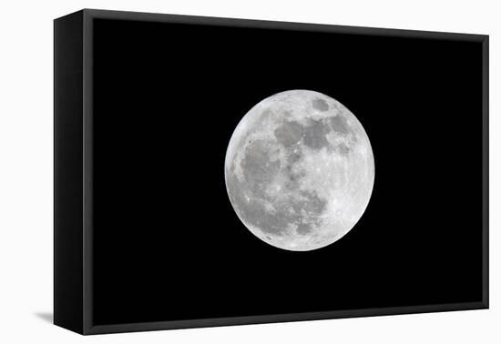 The May 2012 Òsupermoon,Ó Photographed from Los Angeles, California-Neil Losin-Framed Premier Image Canvas