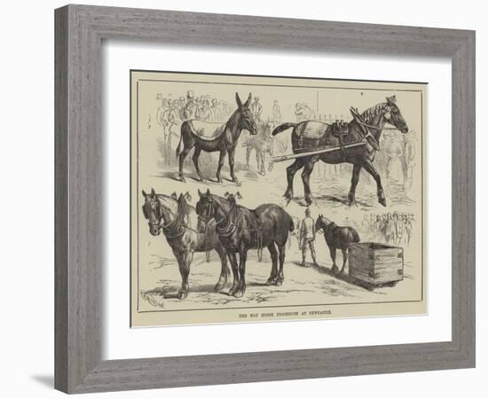 The May Horse Procession at Newcastle-null-Framed Giclee Print