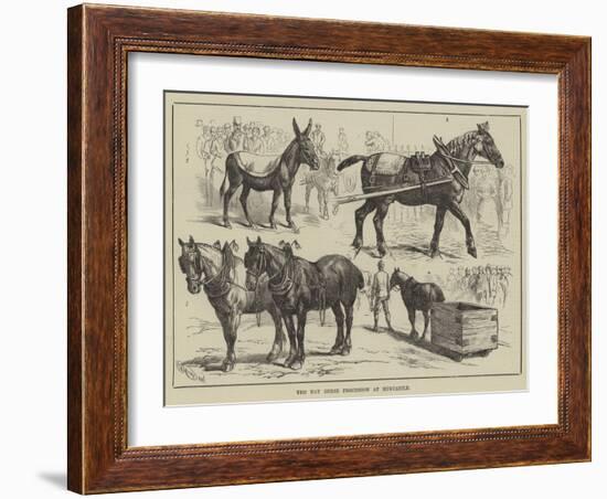 The May Horse Procession at Newcastle-null-Framed Giclee Print