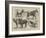 The May Horse Procession at Newcastle-null-Framed Giclee Print