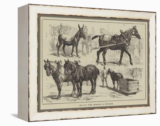 The May Horse Procession at Newcastle-null-Framed Premier Image Canvas