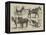 The May Horse Procession at Newcastle-null-Framed Premier Image Canvas