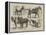 The May Horse Procession at Newcastle-null-Framed Premier Image Canvas