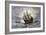 The Mayflower Bringing the First Colonists to Massachusetts-null-Framed Giclee Print