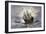 The Mayflower Bringing the First Colonists to Massachusetts-null-Framed Giclee Print