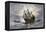 The Mayflower Bringing the First Colonists to Massachusetts-null-Framed Premier Image Canvas