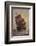 The Mayflower-Marshall Johnson-Framed Photographic Print