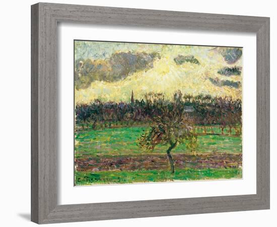 The Meadows at Éragny, Apple Tree, 1894-Camille Pissarro-Framed Giclee Print