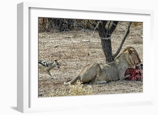 The Meal-Piet Flour-Framed Photographic Print