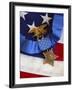 The Medal of Honor Rests On a Flag Beside a SEAL Trident-Stocktrek Images-Framed Photographic Print