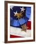 The Medal of Honor Rests On a Flag Beside a SEAL Trident-Stocktrek Images-Framed Photographic Print