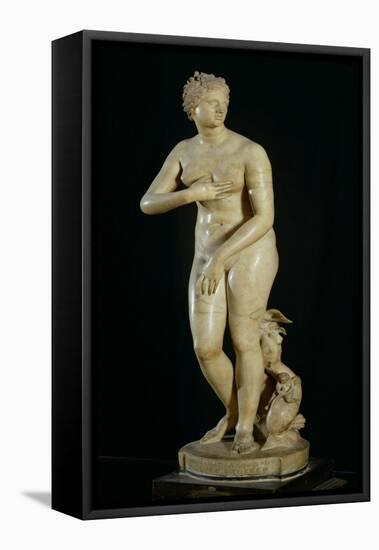 The Medici Venus-Roman-Framed Premier Image Canvas