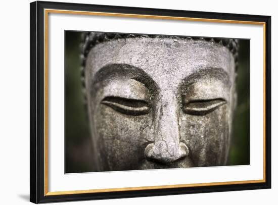 The Medicine Buddha-null-Framed Photographic Print