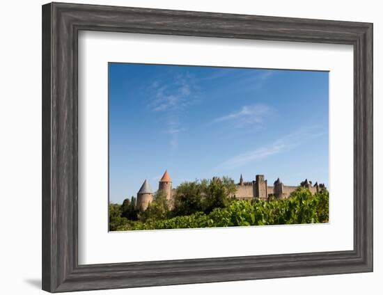 The Medieval Walled Town of Carcassonne, Languedoc-Roussillon, France, Europe-Martin Child-Framed Photographic Print