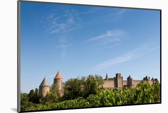 The Medieval Walled Town of Carcassonne, Languedoc-Roussillon, France, Europe-Martin Child-Mounted Photographic Print