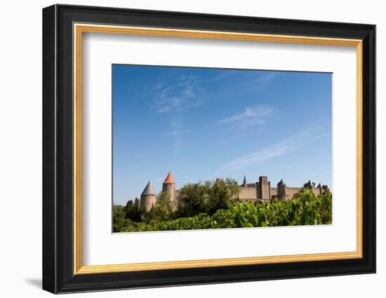 The Medieval Walled Town of Carcassonne, Languedoc-Roussillon, France, Europe-Martin Child-Framed Photographic Print