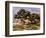 The Medlar Trees-Pierre-Auguste Renoir-Framed Giclee Print