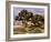 The Medlar Trees-Pierre-Auguste Renoir-Framed Giclee Print