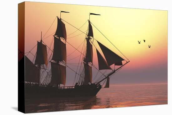 Stretched Canvas Print, , large