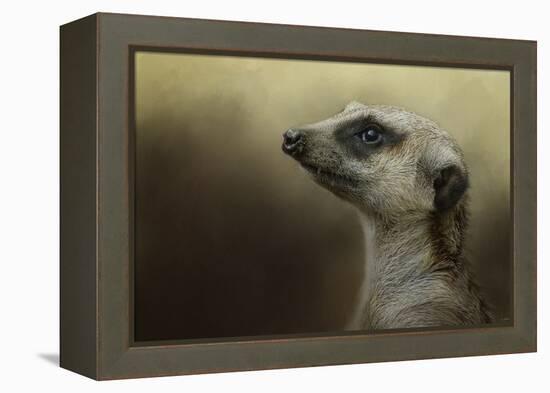 The Meerkat-Jai Johnson-Framed Premier Image Canvas