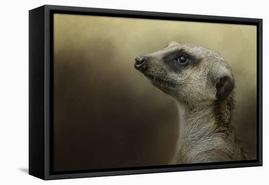 The Meerkat-Jai Johnson-Framed Premier Image Canvas