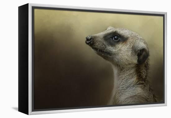 The Meerkat-Jai Johnson-Framed Premier Image Canvas