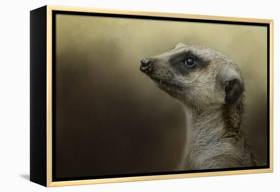 The Meerkat-Jai Johnson-Framed Premier Image Canvas