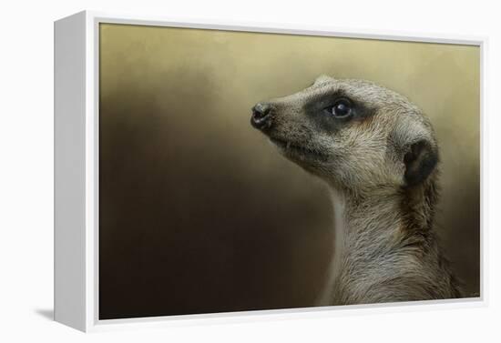 The Meerkat-Jai Johnson-Framed Premier Image Canvas