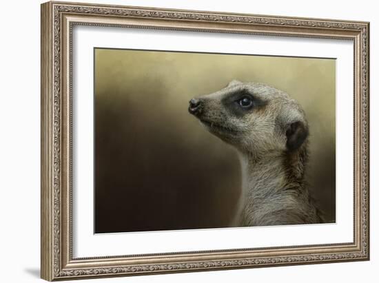 The Meerkat-Jai Johnson-Framed Giclee Print