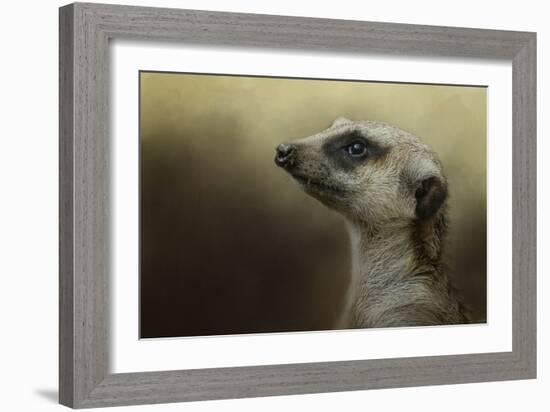 The Meerkat-Jai Johnson-Framed Giclee Print