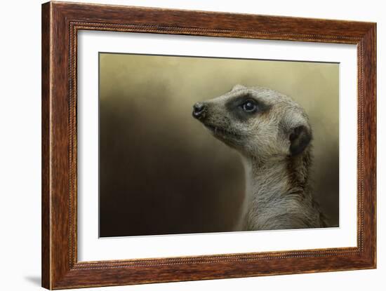 The Meerkat-Jai Johnson-Framed Giclee Print