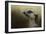 The Meerkat-Jai Johnson-Framed Giclee Print