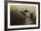 The Meerkat-Jai Johnson-Framed Giclee Print