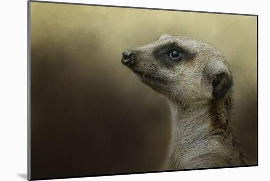 The Meerkat-Jai Johnson-Mounted Giclee Print