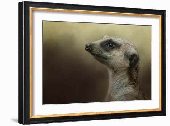 The Meerkat-Jai Johnson-Framed Giclee Print