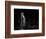 The Meerkat-Greetje Van Son-Framed Photographic Print