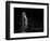 The Meerkat-Greetje Van Son-Framed Photographic Print