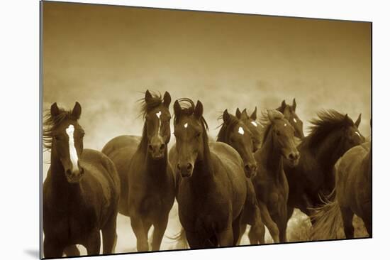 The Meeting-Tony Stromberg-Mounted Art Print