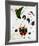 The Melancholic Singer-Joan Miro-Framed Art Print