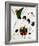 The Melancholic Singer-Joan Miro-Framed Art Print