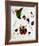 The Melancholic Singer-Joan Miro-Framed Art Print