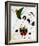 The Melancholic Singer-Joan Miro-Framed Art Print