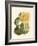 The Melon-null-Framed Giclee Print