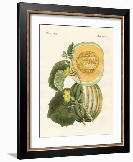 The Melon-null-Framed Giclee Print