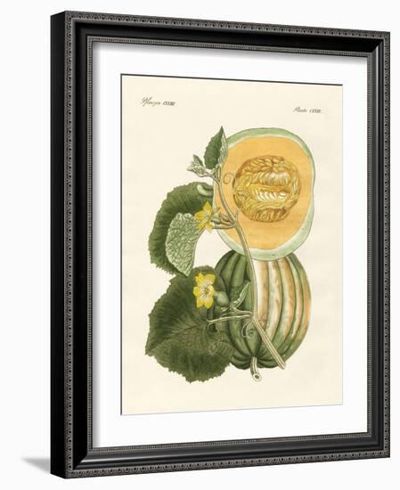 The Melon-null-Framed Giclee Print