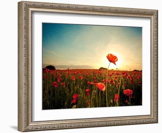 The Memory-Mark Gemmell-Framed Photographic Print