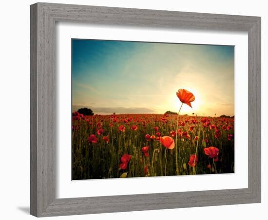 The Memory-Mark Gemmell-Framed Photographic Print