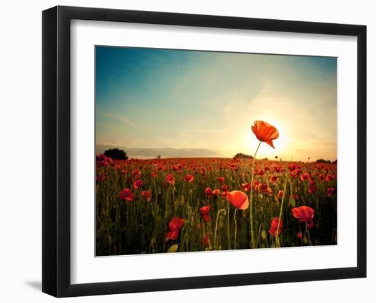 The Memory-Mark Gemmell-Framed Photographic Print