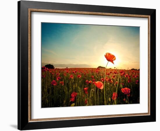 The Memory-Mark Gemmell-Framed Photographic Print